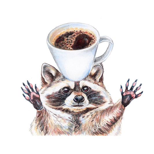 Coloured pencil drawing of a raccoon with outstretched arms and a full mug of coffee balanced on his head. Art by Deidre Wicks