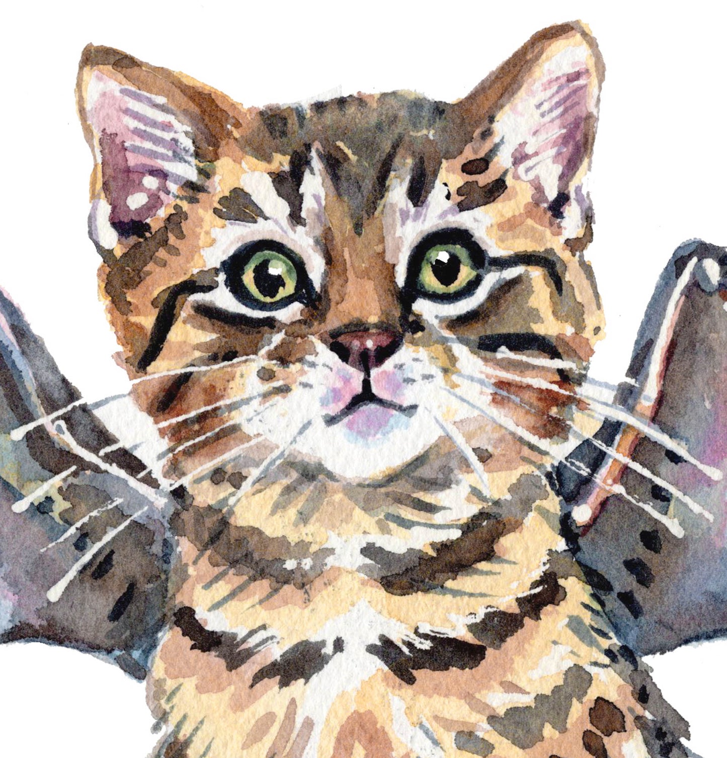 Watercolor-style illustration of a cat with bat wings, shown against a plain white background.