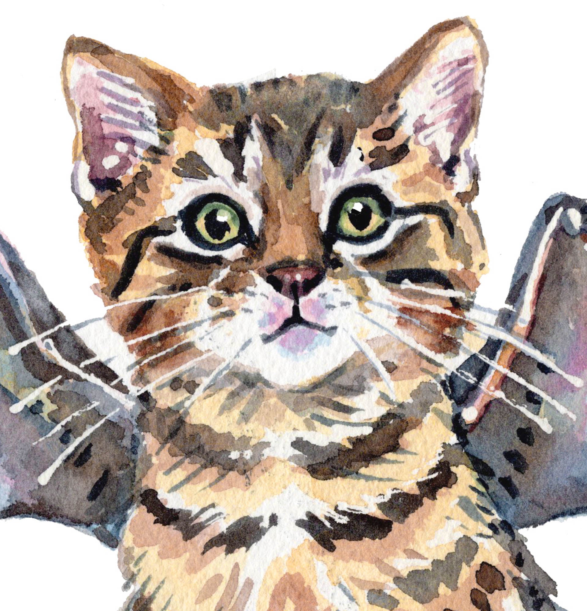Watercolor-style illustration of a cat with bat wings, shown against a plain white background.