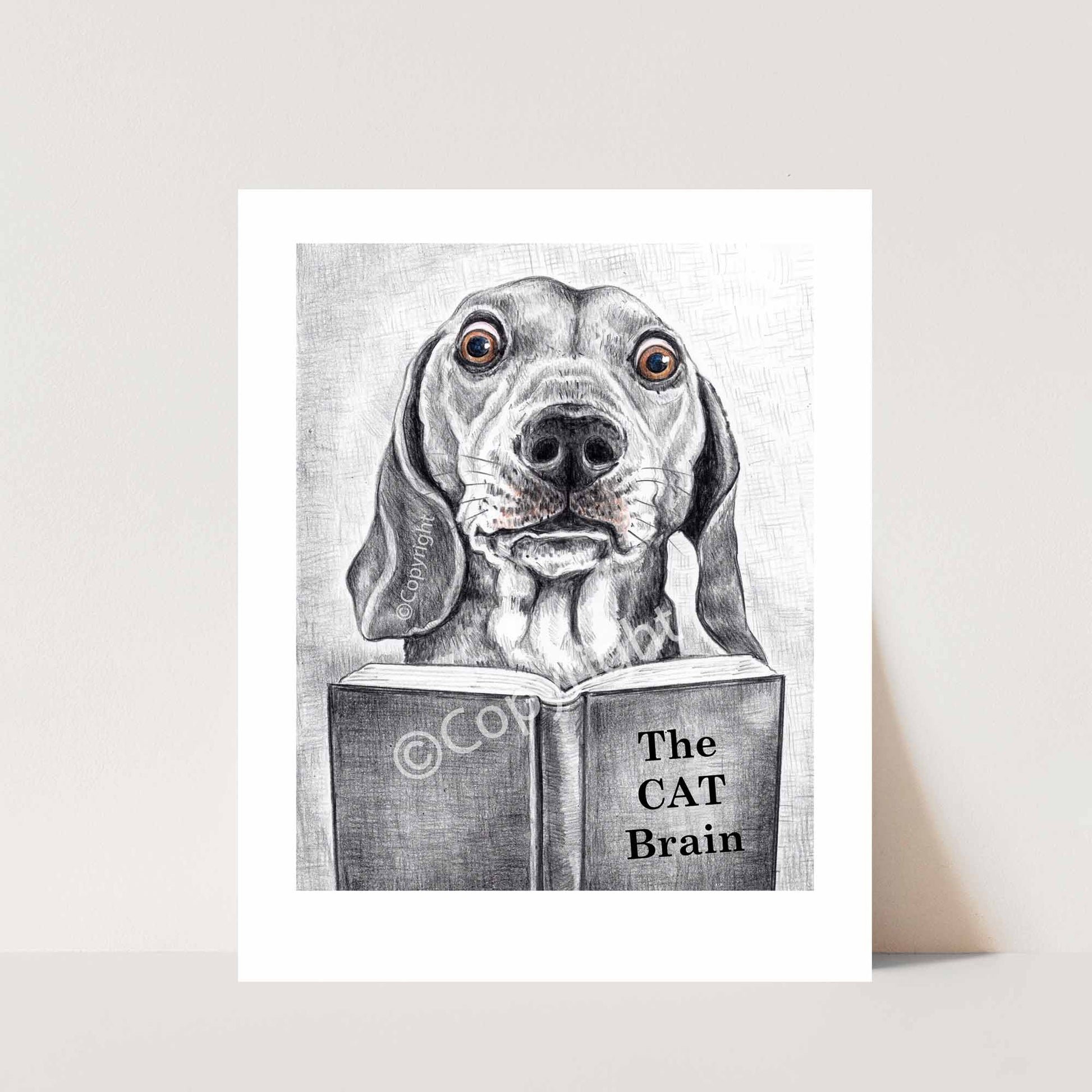 Crayon drawing of a dachshund dog reading a book about cats. Black and white art by Deidre Wicks