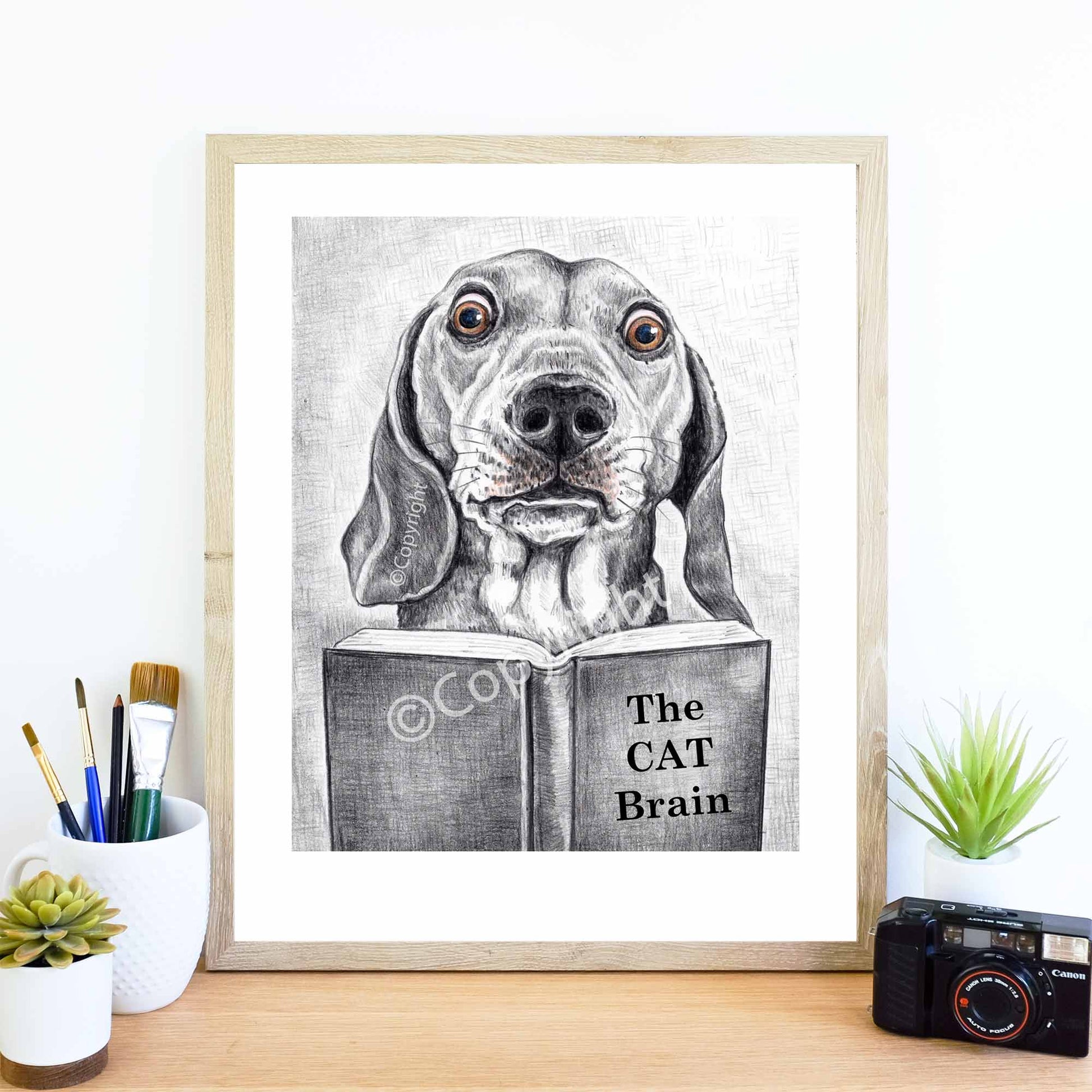 Crayon drawing of a dachshund dog reading a book about cats. Black and white art by Deidre Wicks