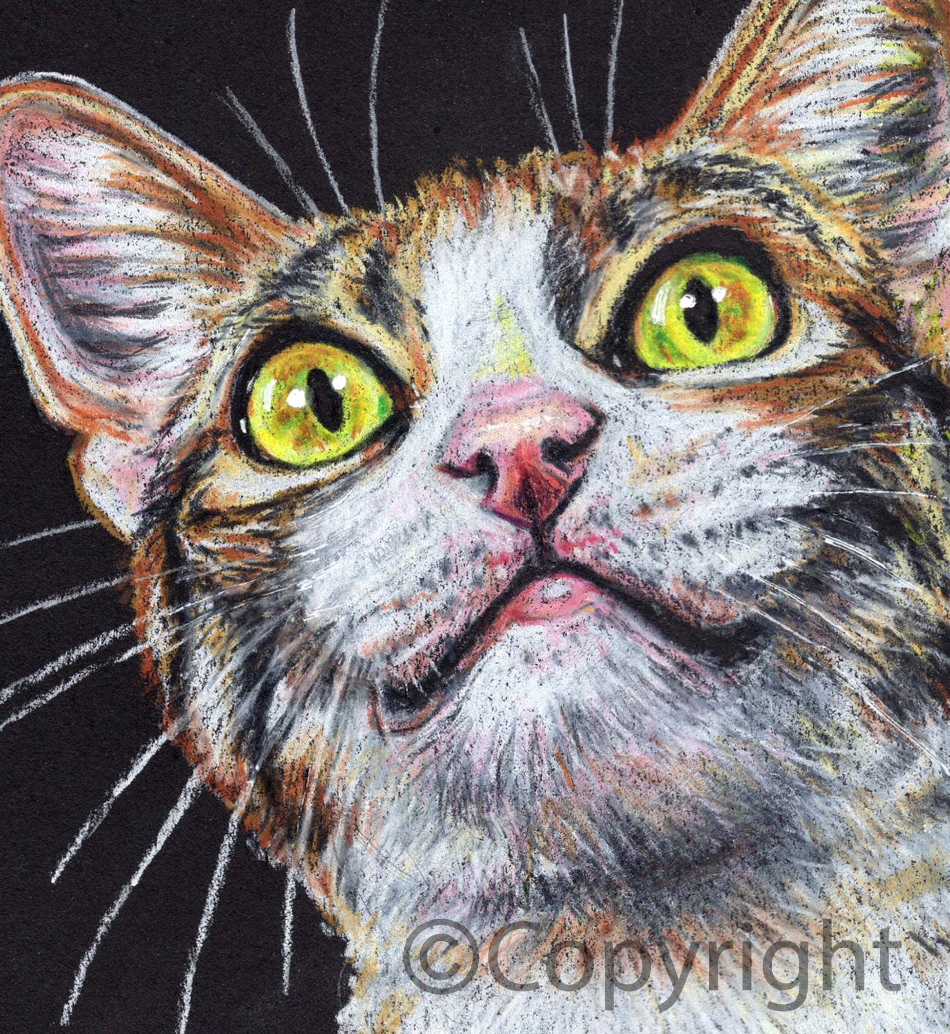 Crayon drawing of an adorable calico cat with big yellow eyes on a black background. Art by Deidre Wicks