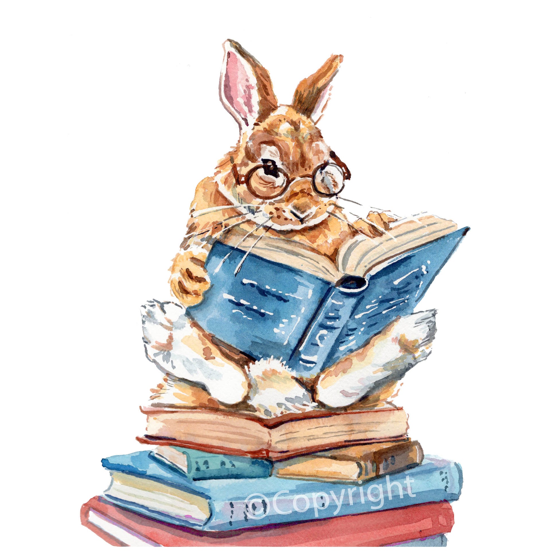 Illustration of a rabbit reading a book on a white background