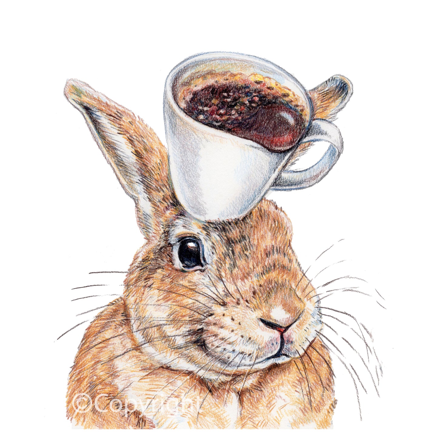 Coloured pencil drawing of a happy rabbit balancing a coffee cup on his head. Art by Deidre Wicks