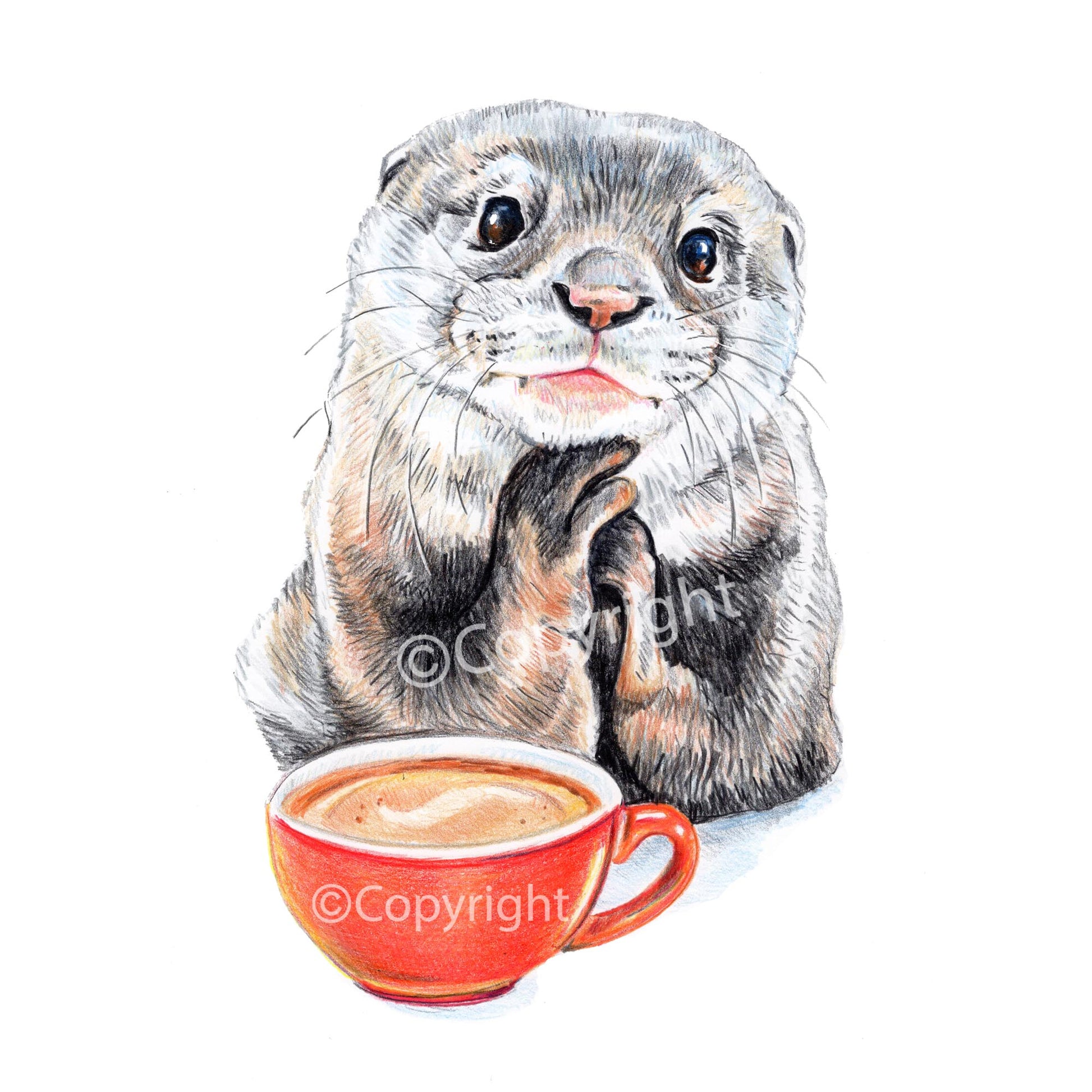 Drawing of a day dreaming otter at a coffee shop by Deidre Wicks