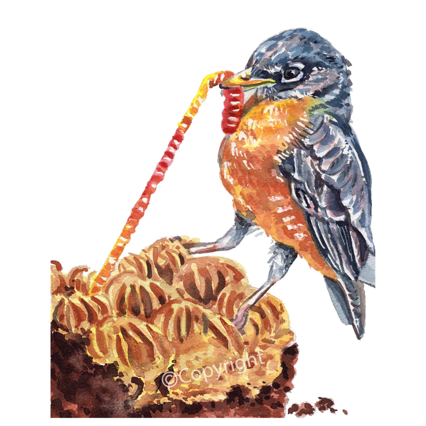 Watercolour painting of a robin pulling a gummy worm from a piece of cake