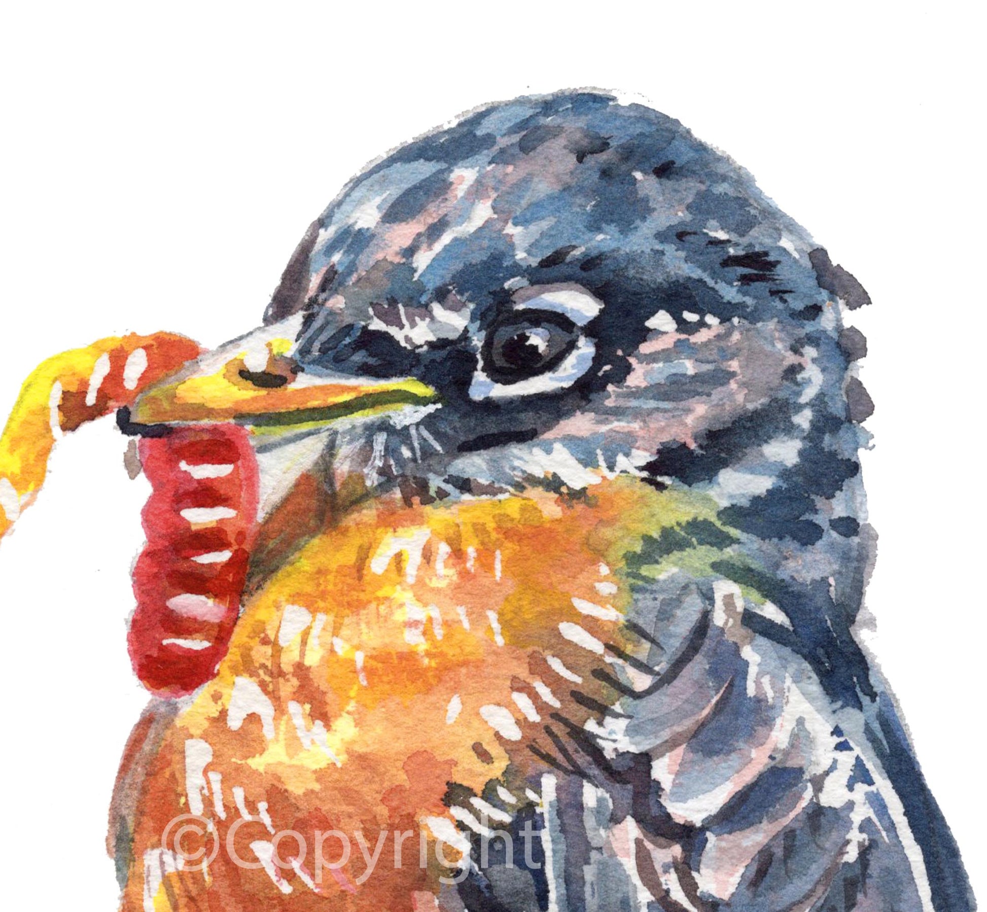 Colorful illustration of a bird holding a worm on a white background