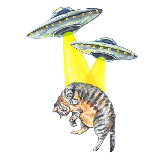 Cat Vs UFO Wall Decal