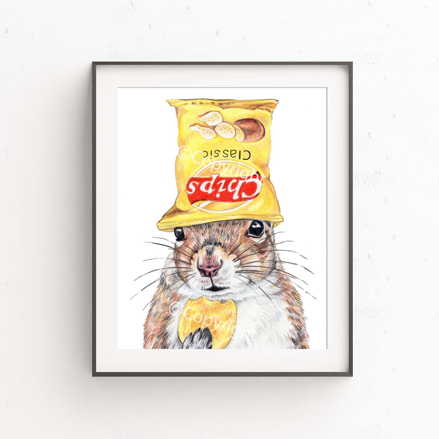 Coloured pencil drawing of a squirrel wearing a bright yellow potato chip bag on it's head. Art by Deidre Wicks