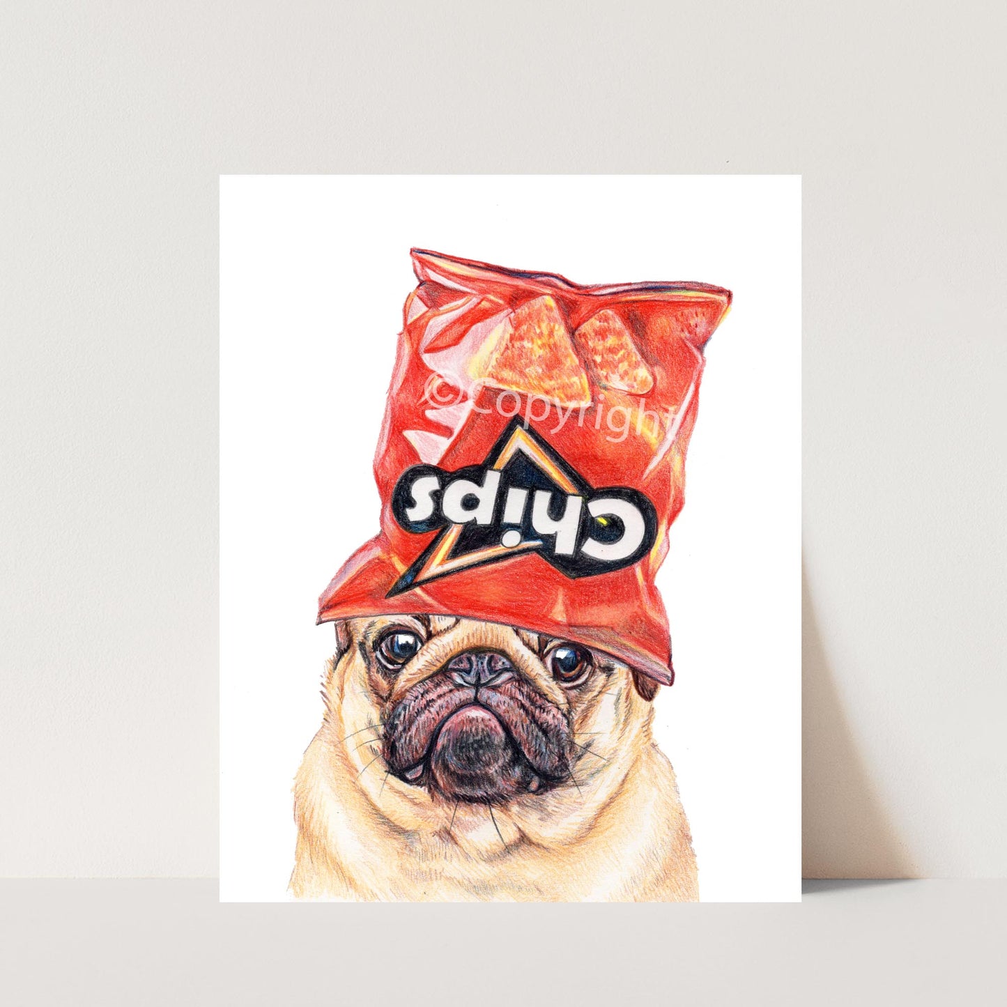 Coloured pencil drawing of a pug dog wearing an empty cheese nacho chip bag on his head. Art by Deidre Wicks