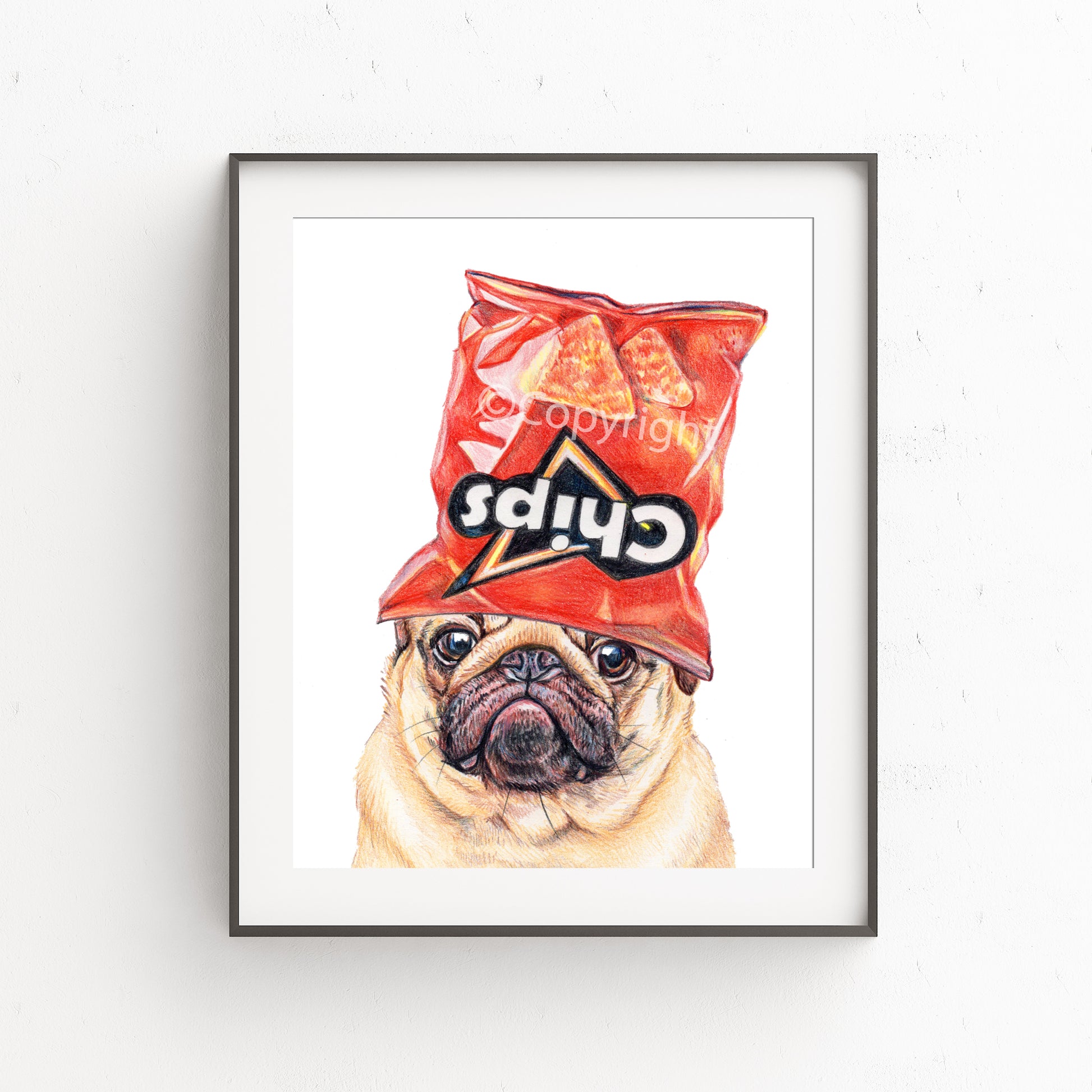 Coloured pencil drawing of a pug dog wearing an empty cheese nacho chip bag on his head. Art by Deidre Wicks