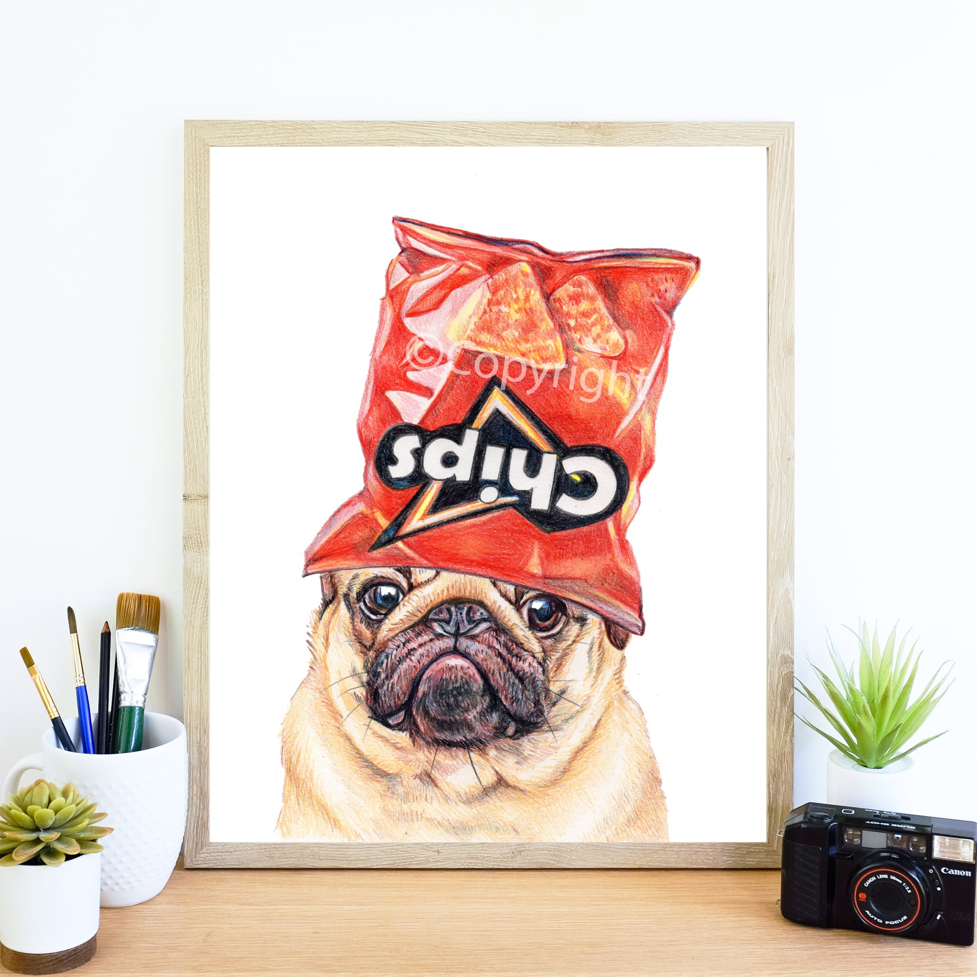 Coloured pencil drawing of a pug dog wearing an empty cheese nacho chip bag on his head. Art by Deidre Wicks