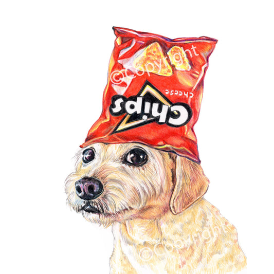Coloured pencil drawing of a terrier dog wearing a chip bag as a hat. Art by Deidre Wicks