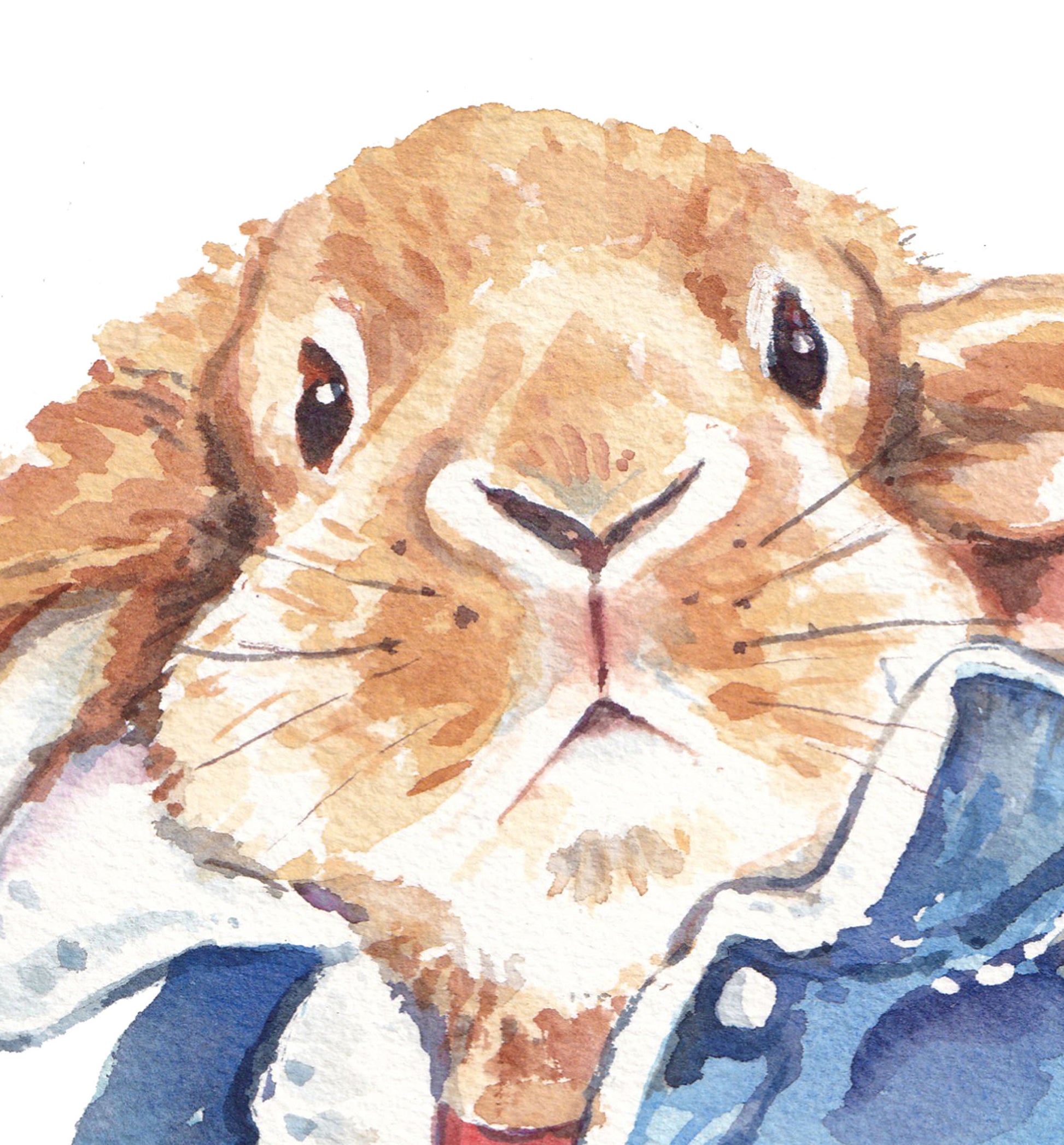 Watercolour painting of a lop eared bunny rabbit wearing a cool vintage denim jacket. Art by Deidre Wicks