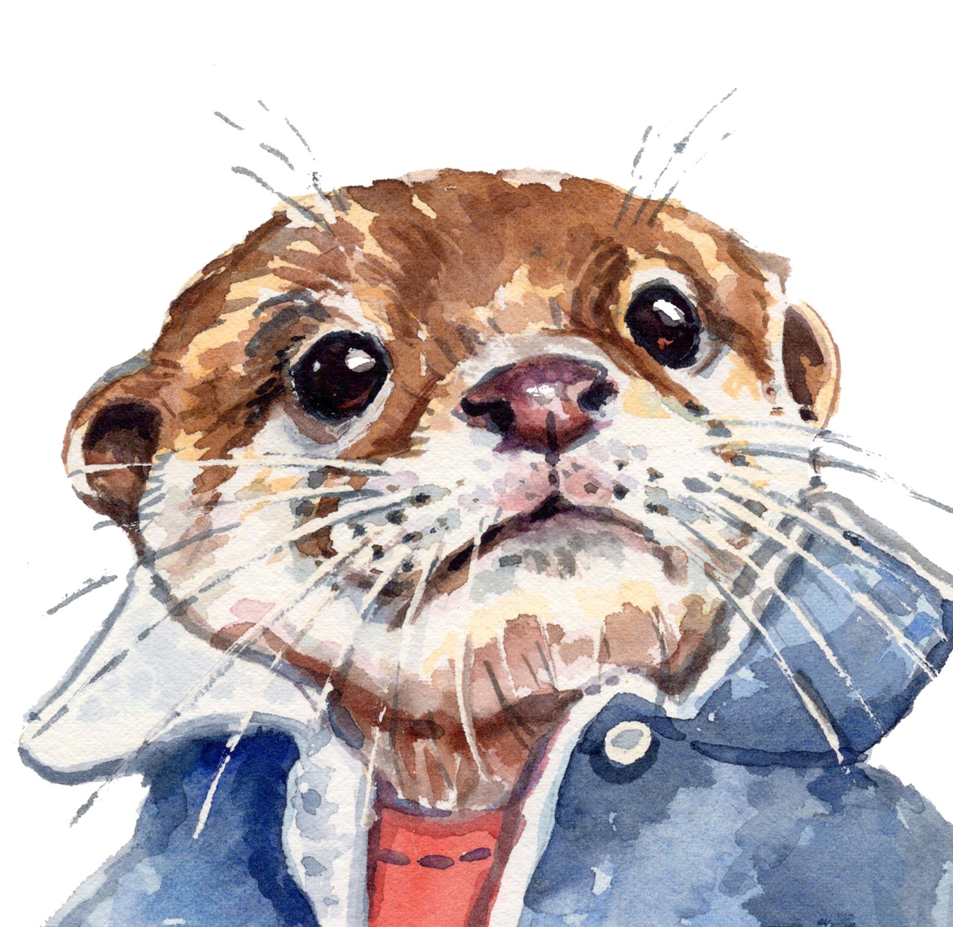 Watercolor illustration of an otter's face wearing a blue jacket and red shirt, shown against a plain white background.