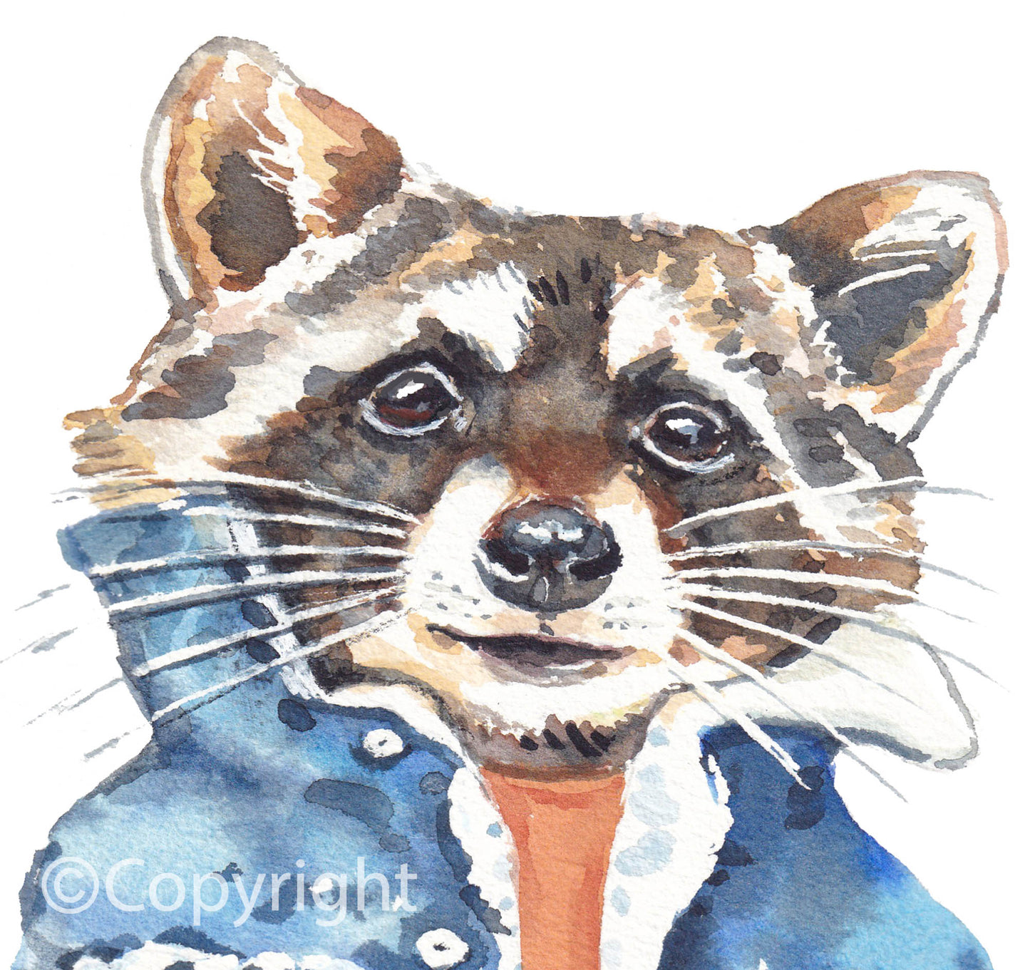 Denim Cool Raccoon Print