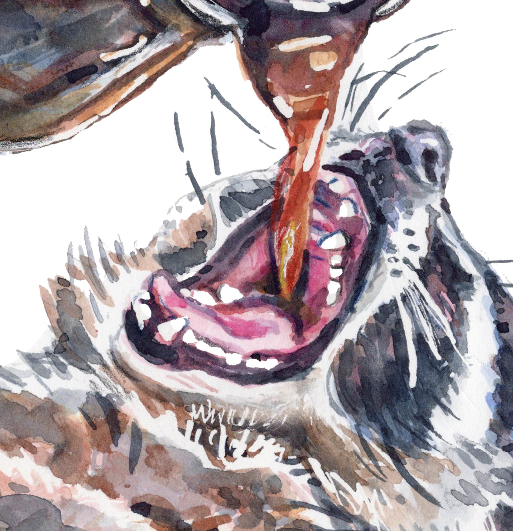 Illustration of a raccoon drinking coffee from the pot