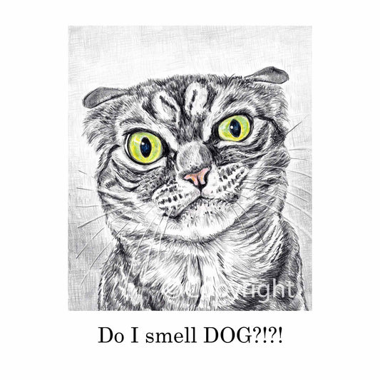 Crayon drawing of a disgruntled tabby cat who knows you were petting a dog. Art by Deidre Wicks