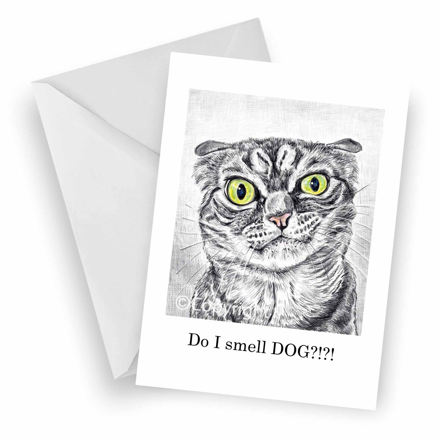 Greeting card featuring a crayon wax pastel drawing of a disgruntled tabby cat. Art by Deidre Wicks