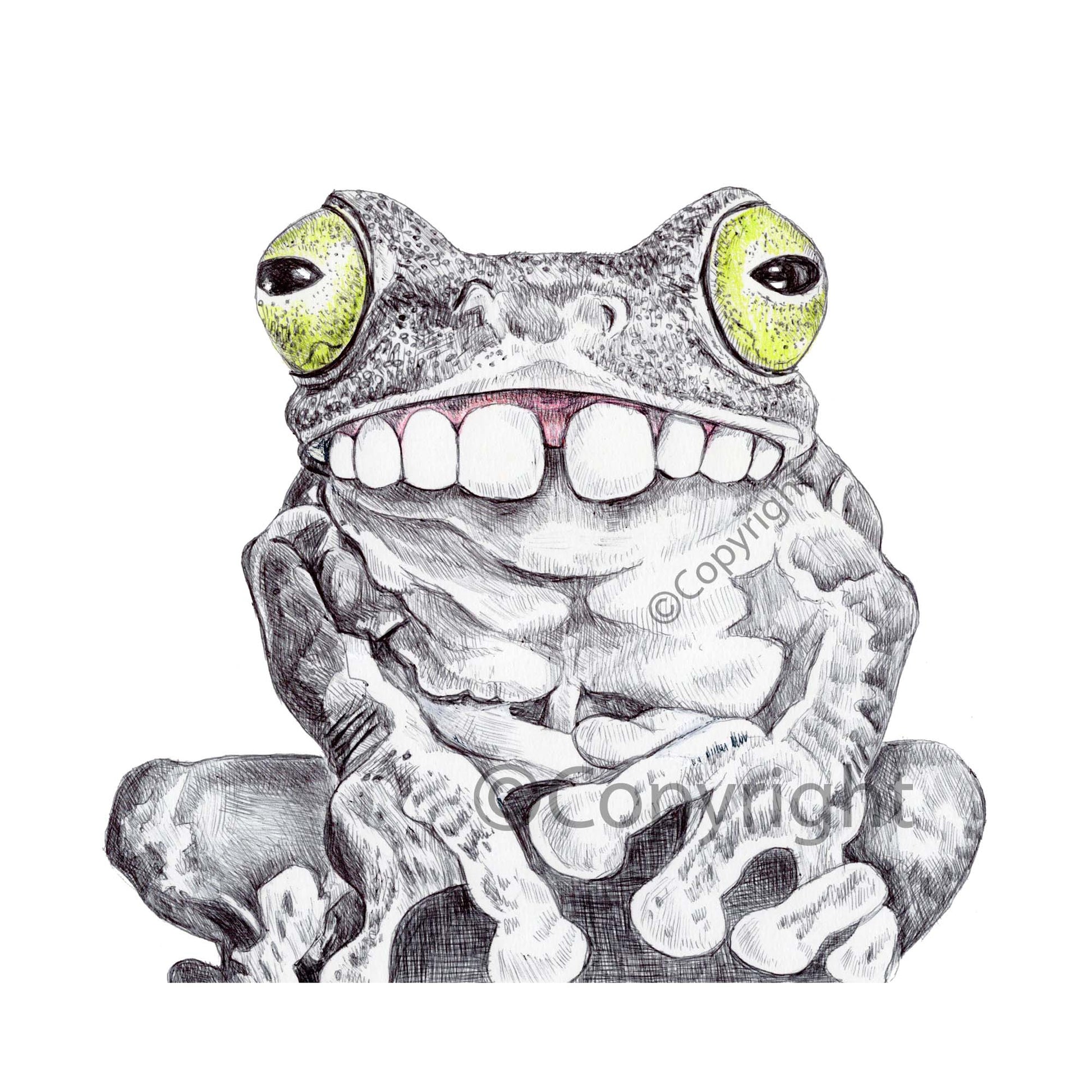 Ballpoint pen drawing of a tree frog with a big gap tooth smile. Art by Deidre Wicks