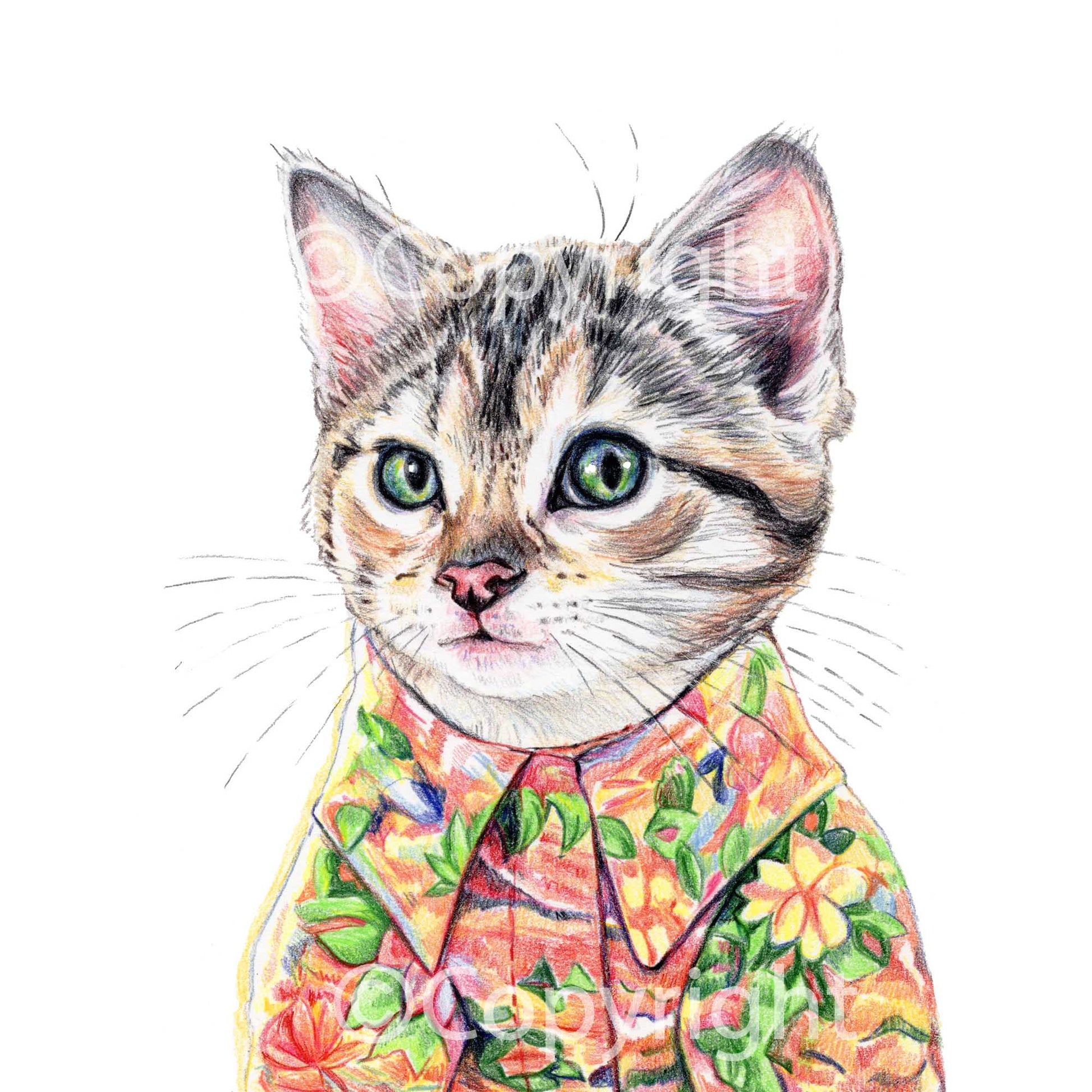 Coloured pencil drawing of a tabby cat kitten wearing a bright Hawaiian shirt by Deidre Wicks