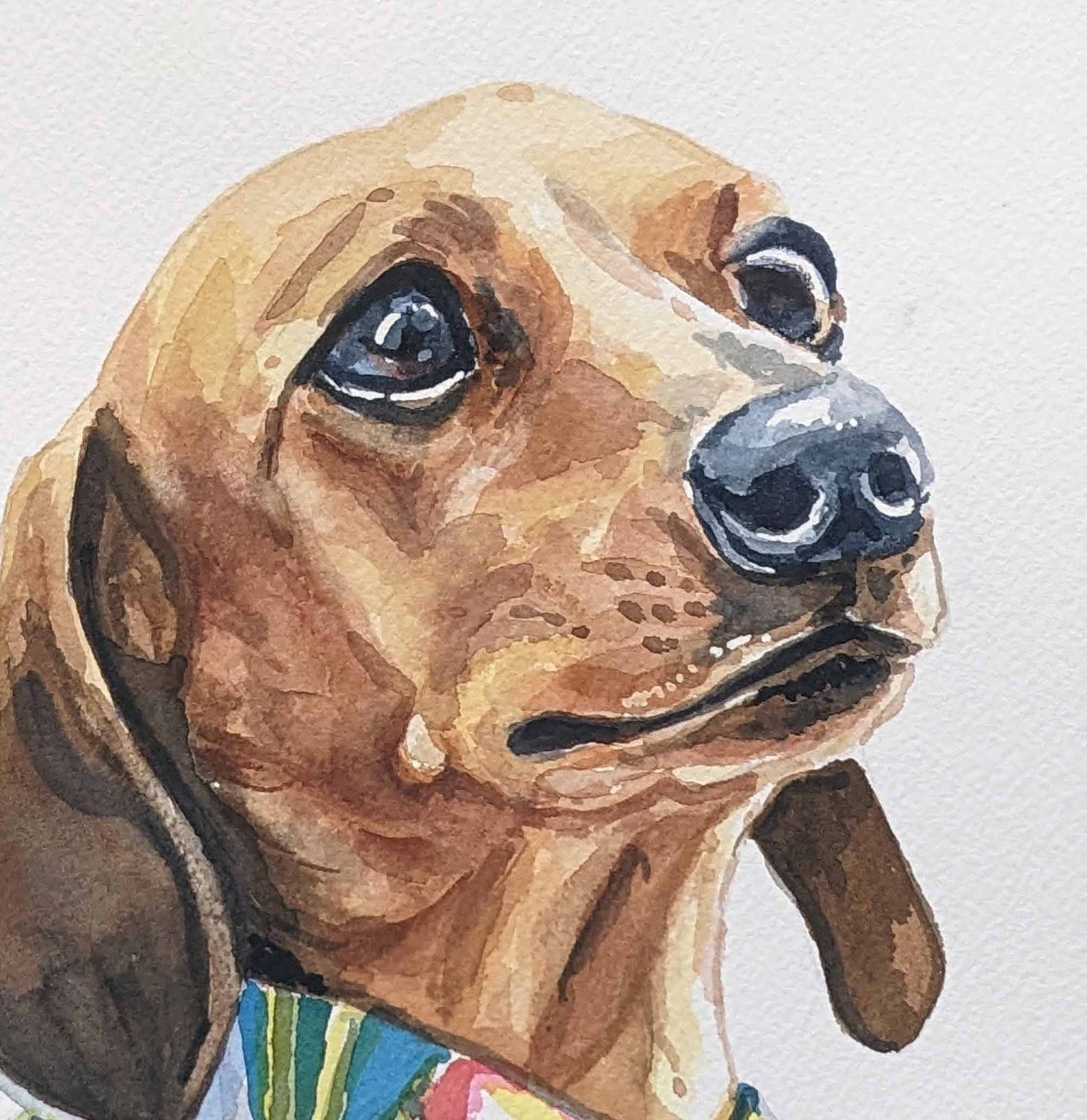 Original watercolour painting of a dachshund dog wearing a patterned Hawaiian shirt. Art by Deidre Wicks