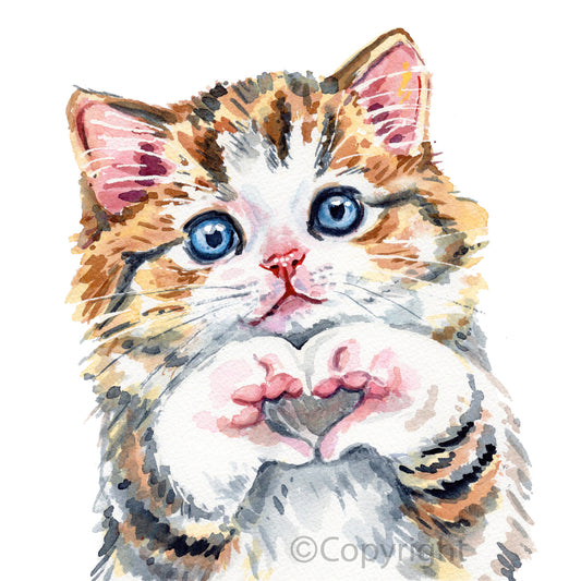 Watercolor painting of a calico cat with blue eyes forming a heart with his paws on a white background