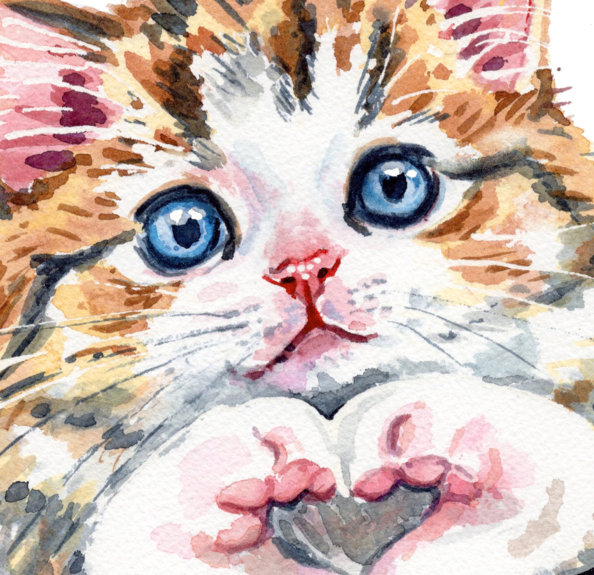 Watercolor painting of a calico cat with blue eyes forming a heart with his paws on a white background