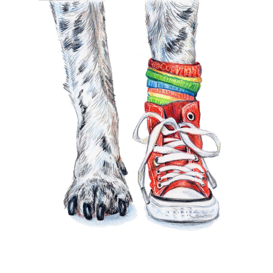 Illustration of a dog's paw wearing one high top red sneaker with a colorful sock on a white background