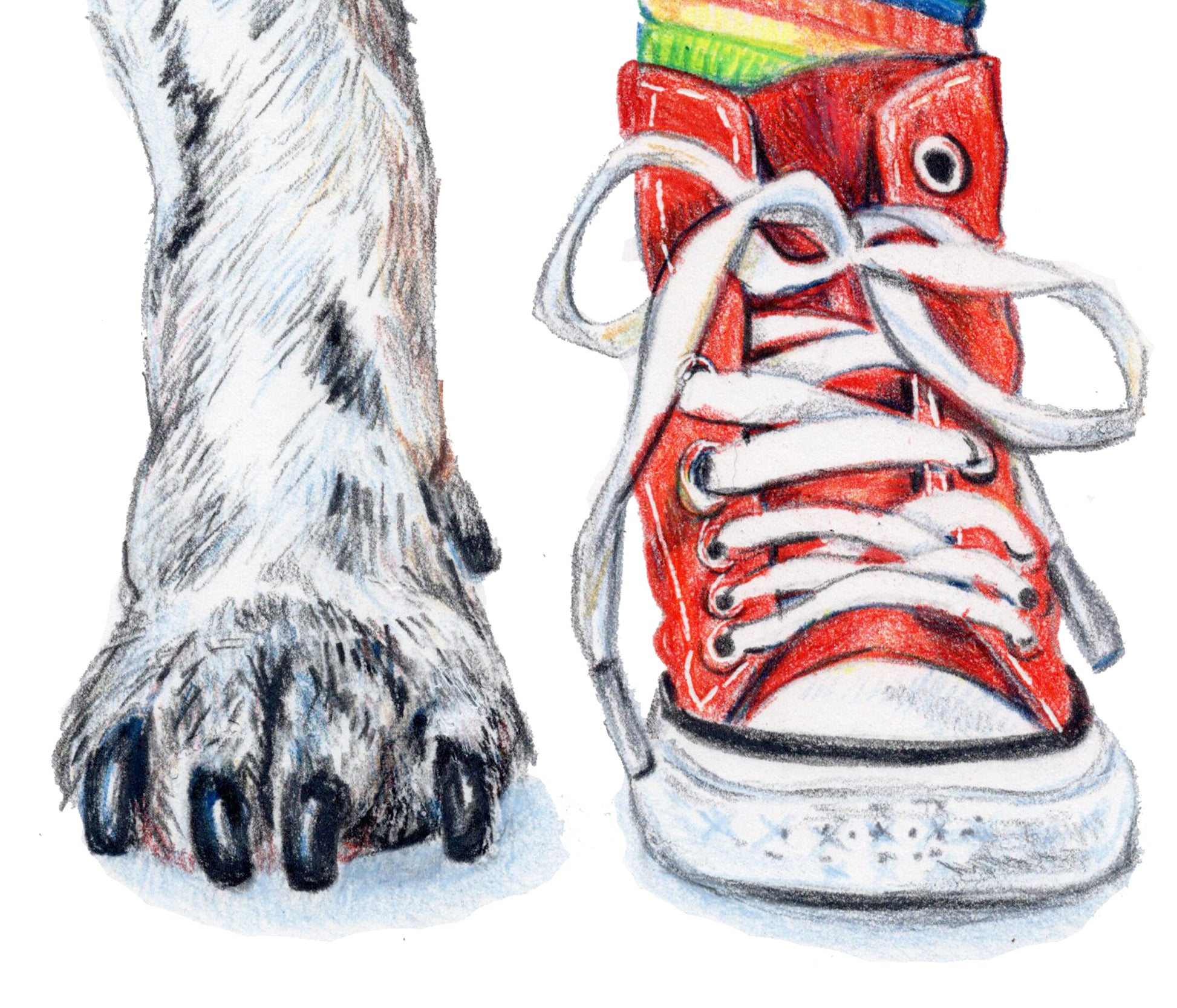 Red sneaker with white laces next to a paw print on a white background