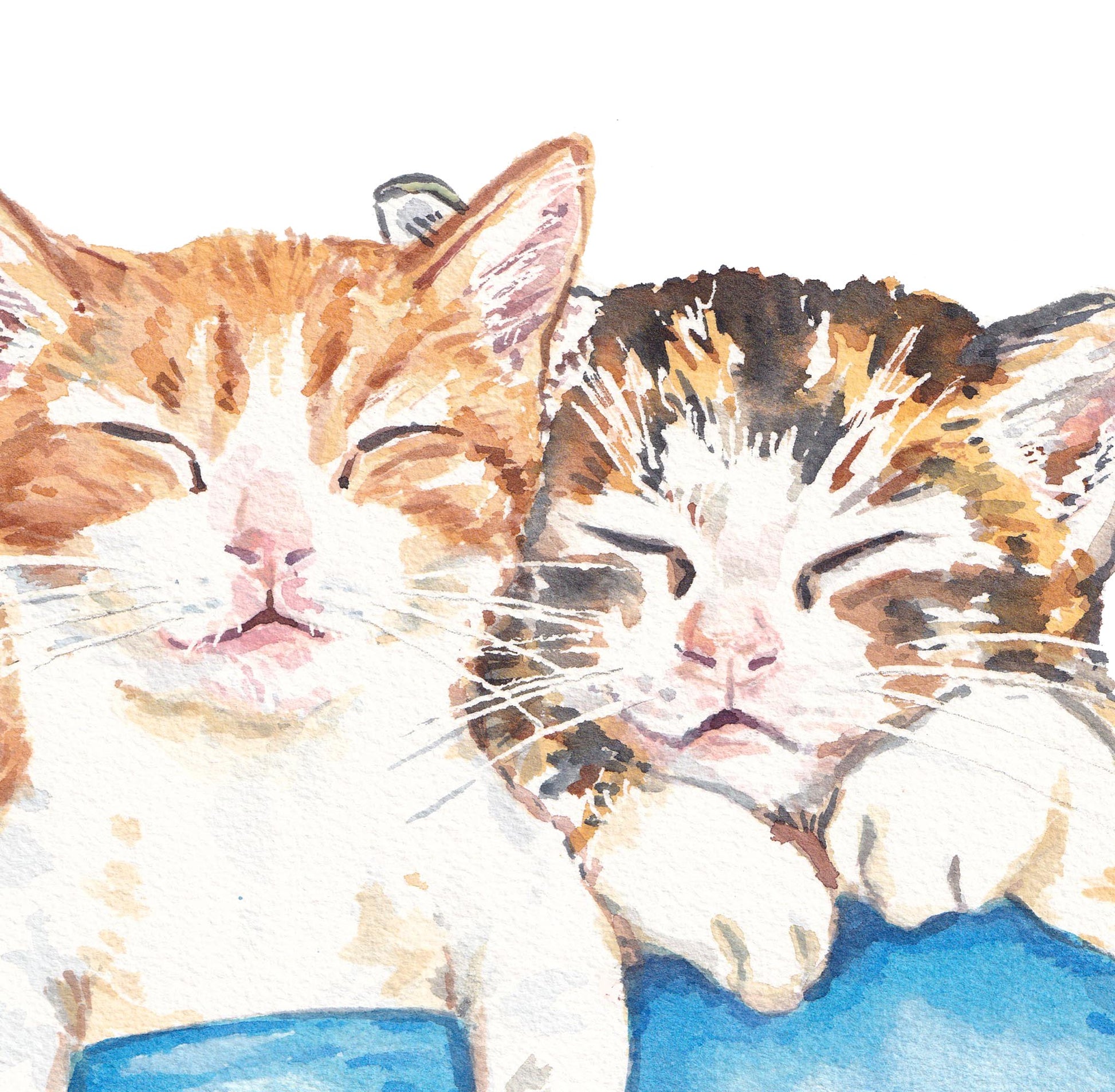 Watercolour painting of two tabby kittens taking a nap together. Art by Deidre Wicks