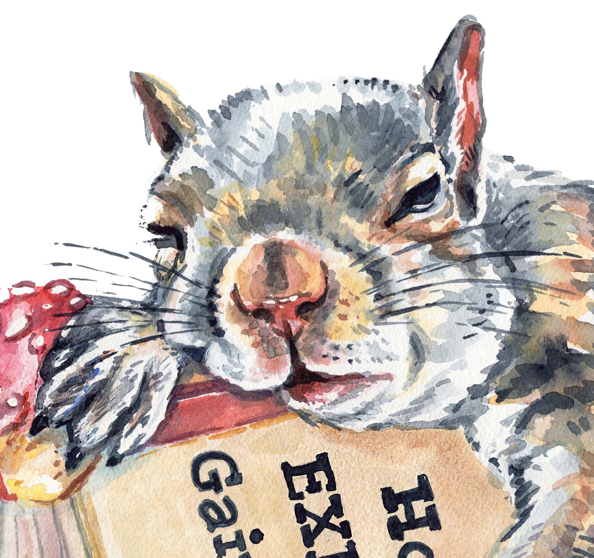 Illustration of a squirrel holding a donut and a nacho sleeping on a pile of books about exercise and diet foods
