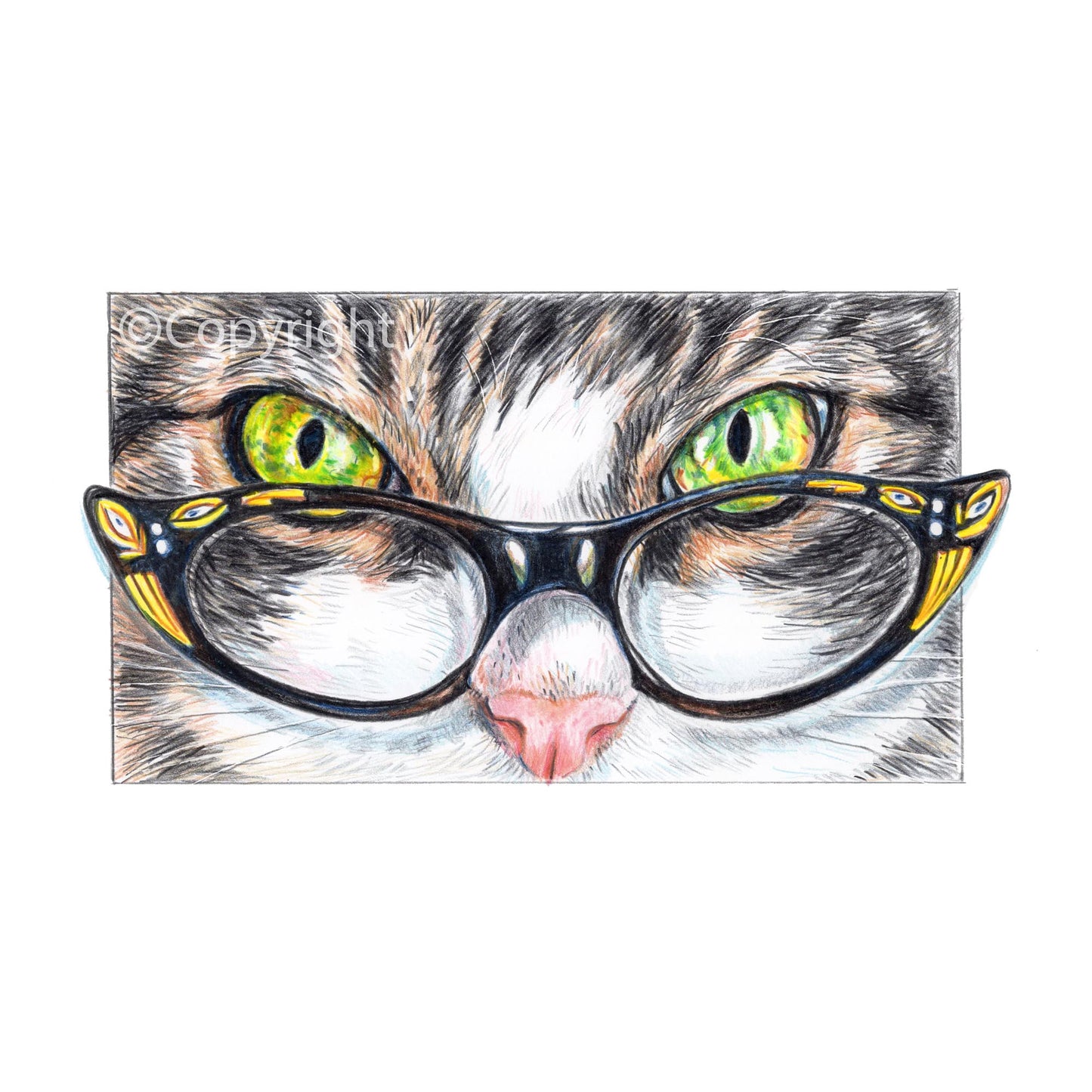 Crayon drawing of a sassy tabby cat wearing a pair of vintage cat-eye glasses. Art by Deidre Wicks