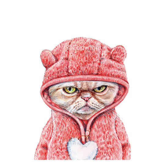 Cat wearing a red hoodie with bear ears on a white background