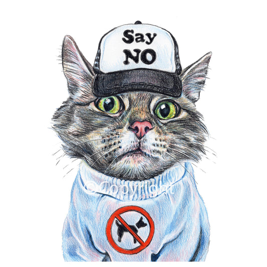 Cat wearing a cap with 'Say No' text and a no-pets sign on a white background
