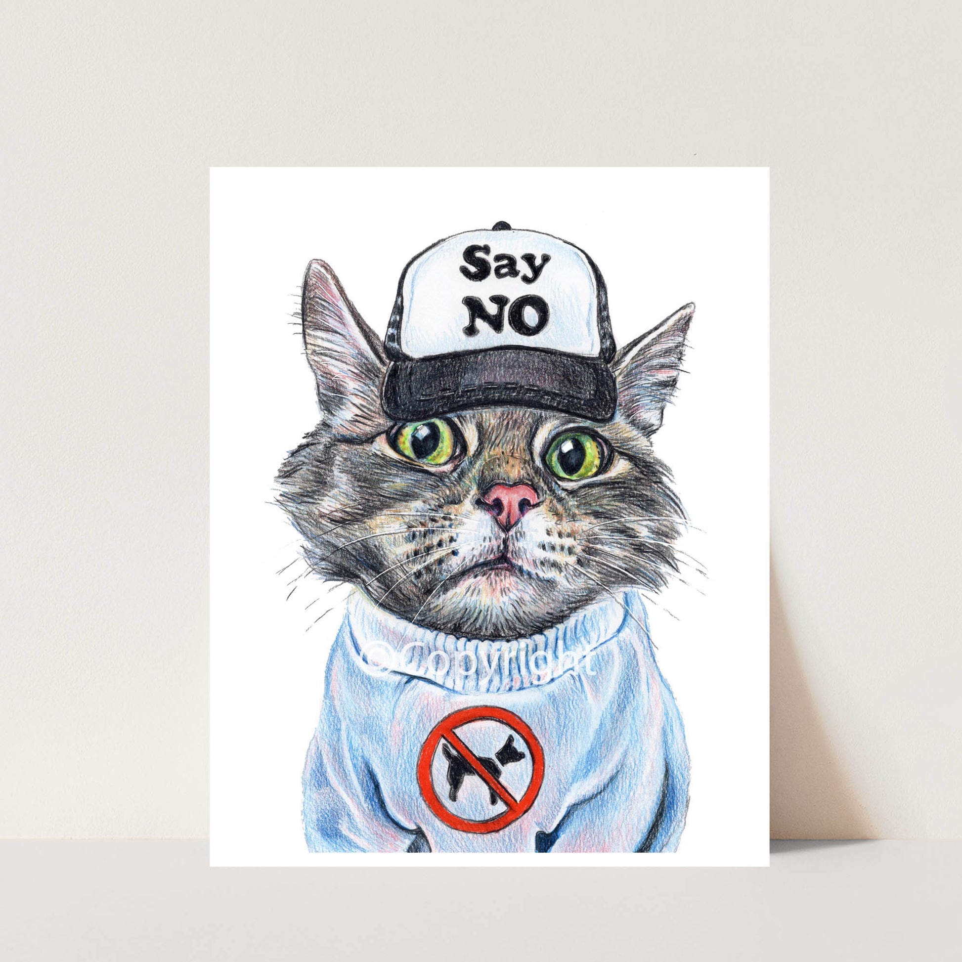 Cat wearing a cap with 'Say No' text and a sweater with a no-dog symbol on a white background