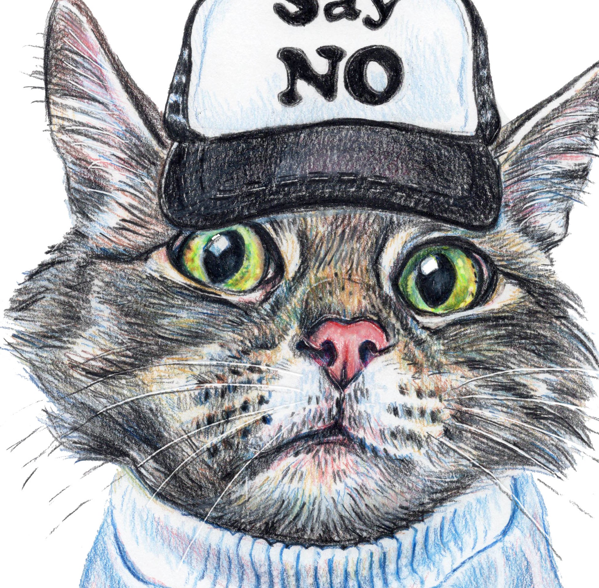 Illustration of a cat wearing a cap with 'Say No' text and a sweater.