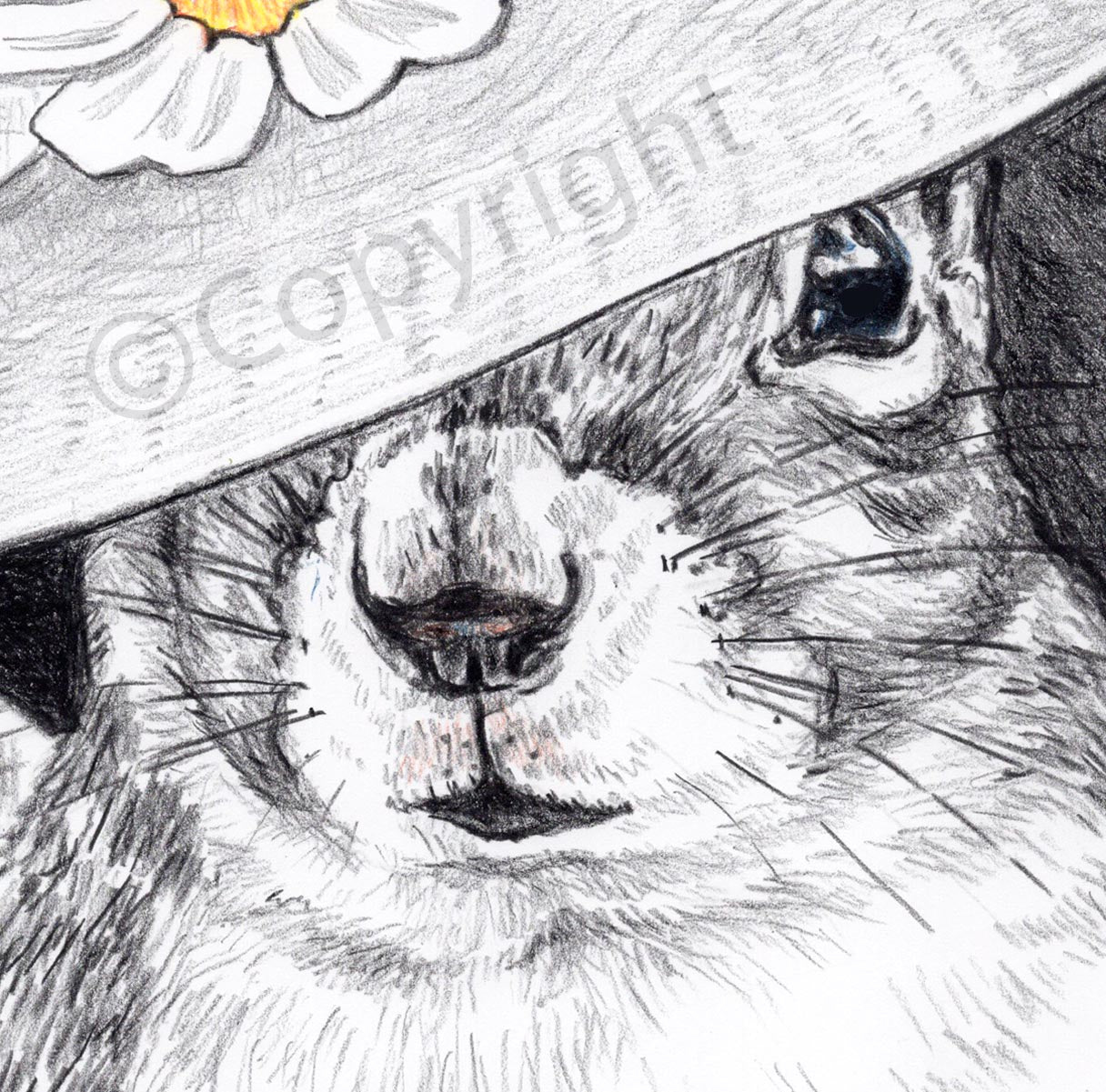 Crayon drawing of a squirrel wearing a big floppy sun hat with a daisy on the brim. Art by Deidre Wicks