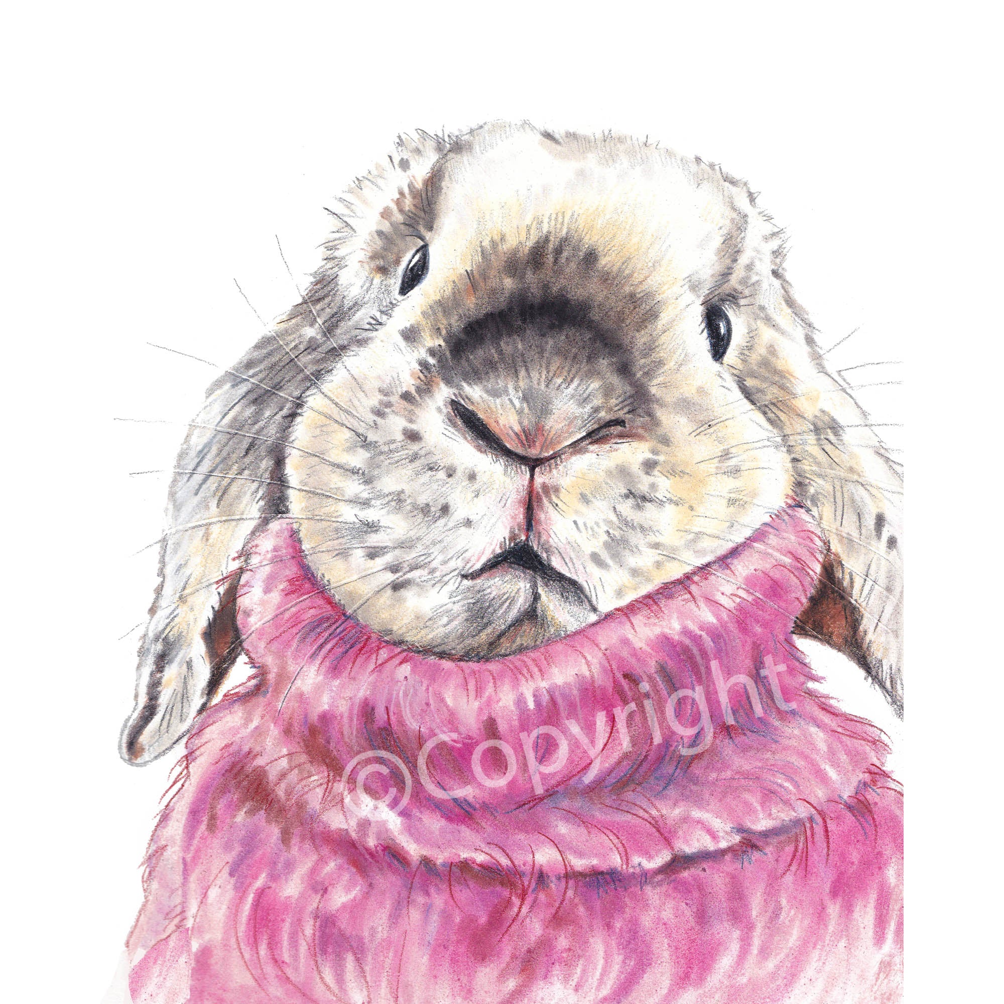 Mohair Bunny Print of a Pastel Painting of a Lop Eared Rabbit