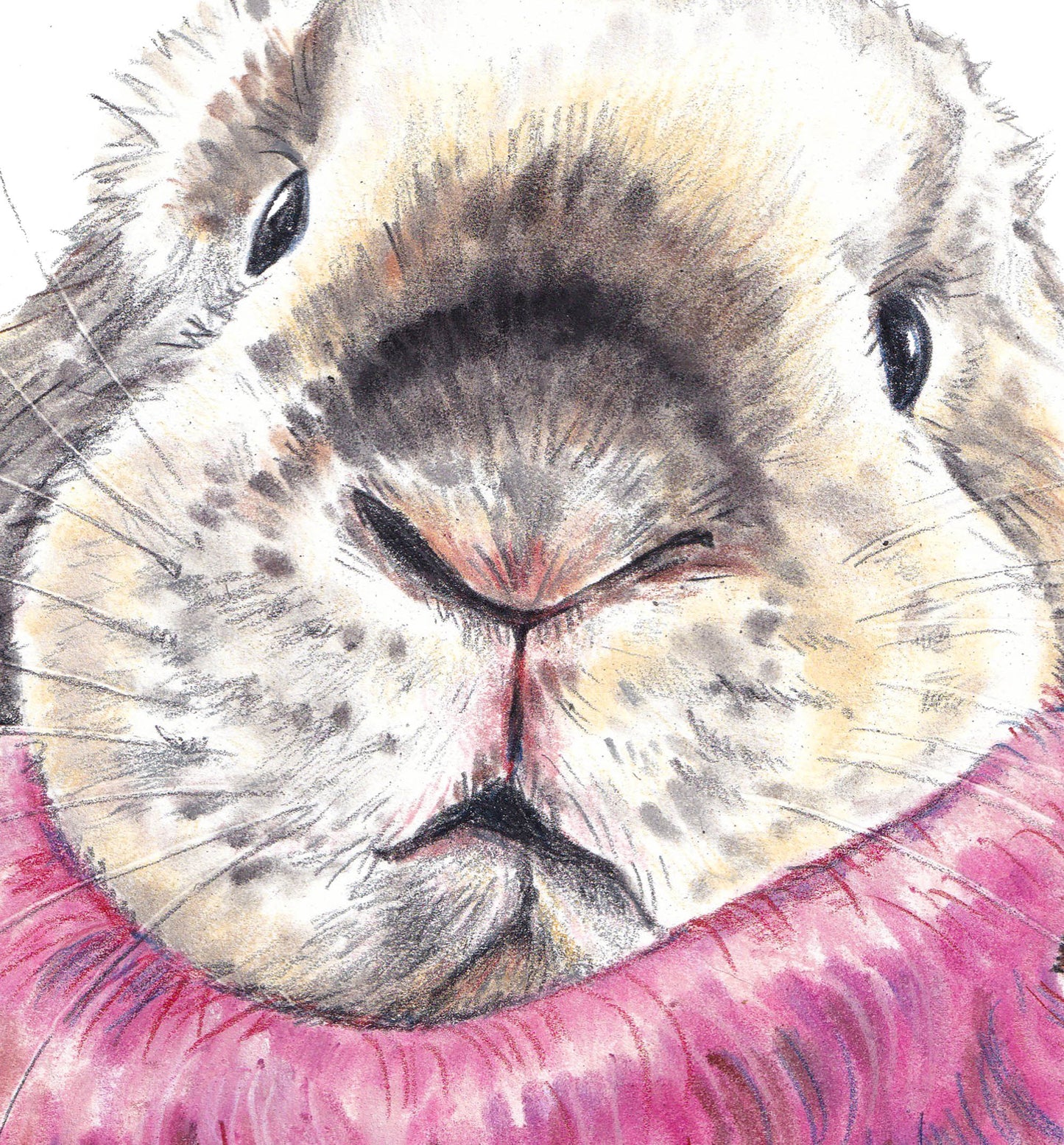 Pastel drawing of a lop eared bunny rabbit wearing a pink mohair turtleneck sweater. Art by Deidre Wicks