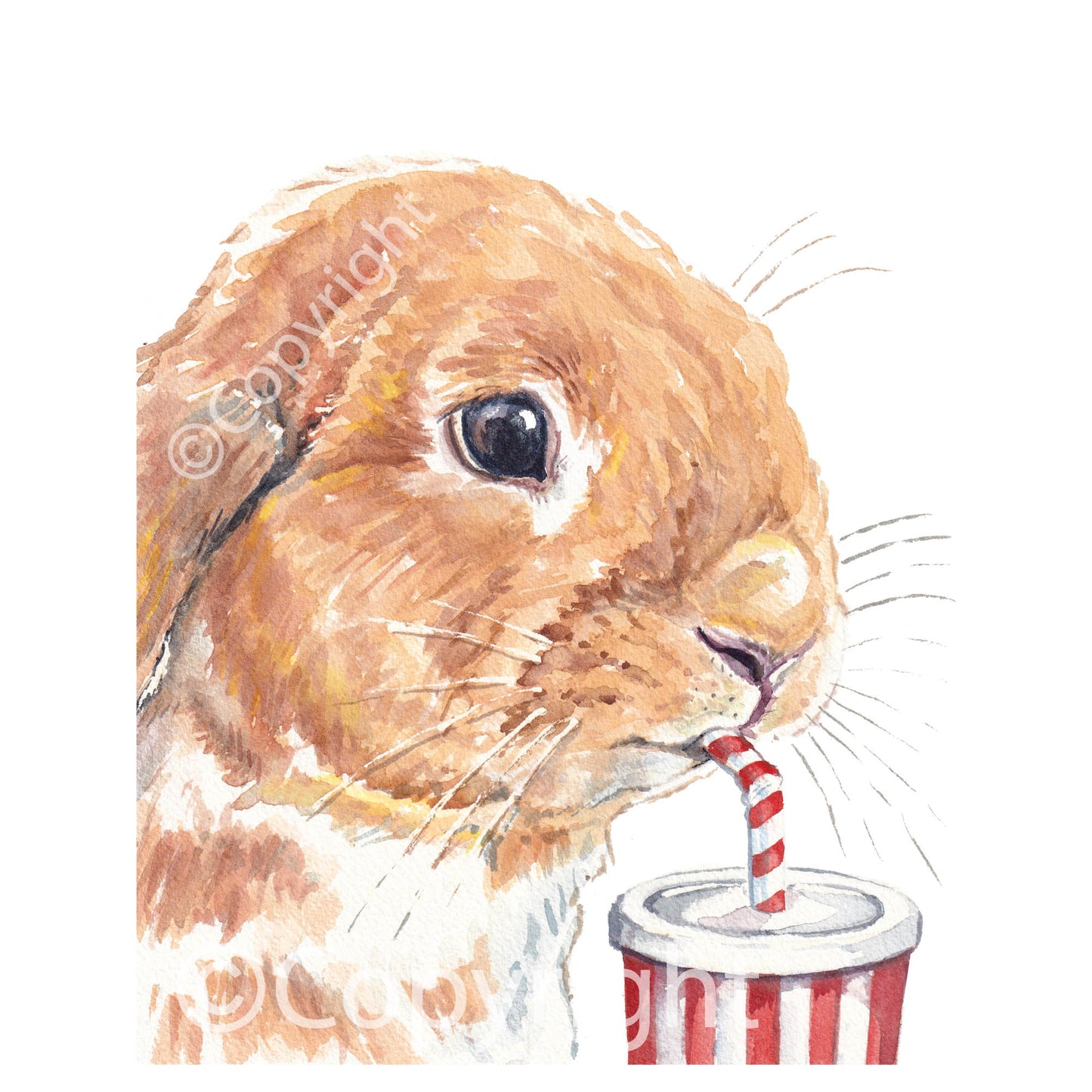 Watercolour painting of a lop eared bunny rabbit sipping a drink from a stripped straw. Art by Deidre Wicks