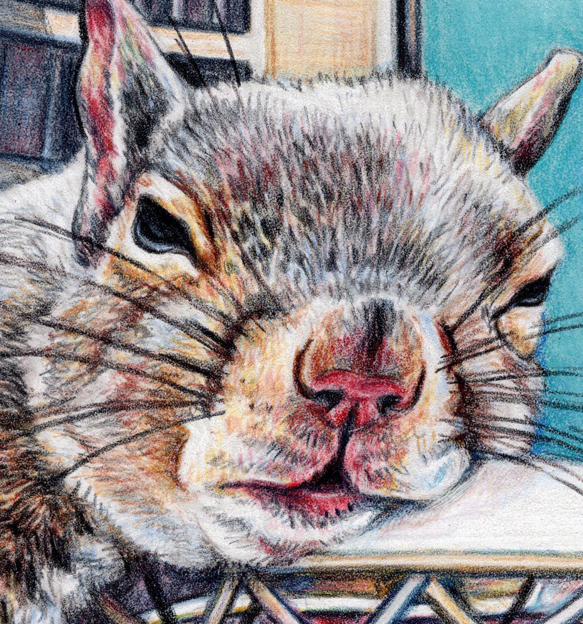 Close-up of a squirrel's face with a detailed and textured style.