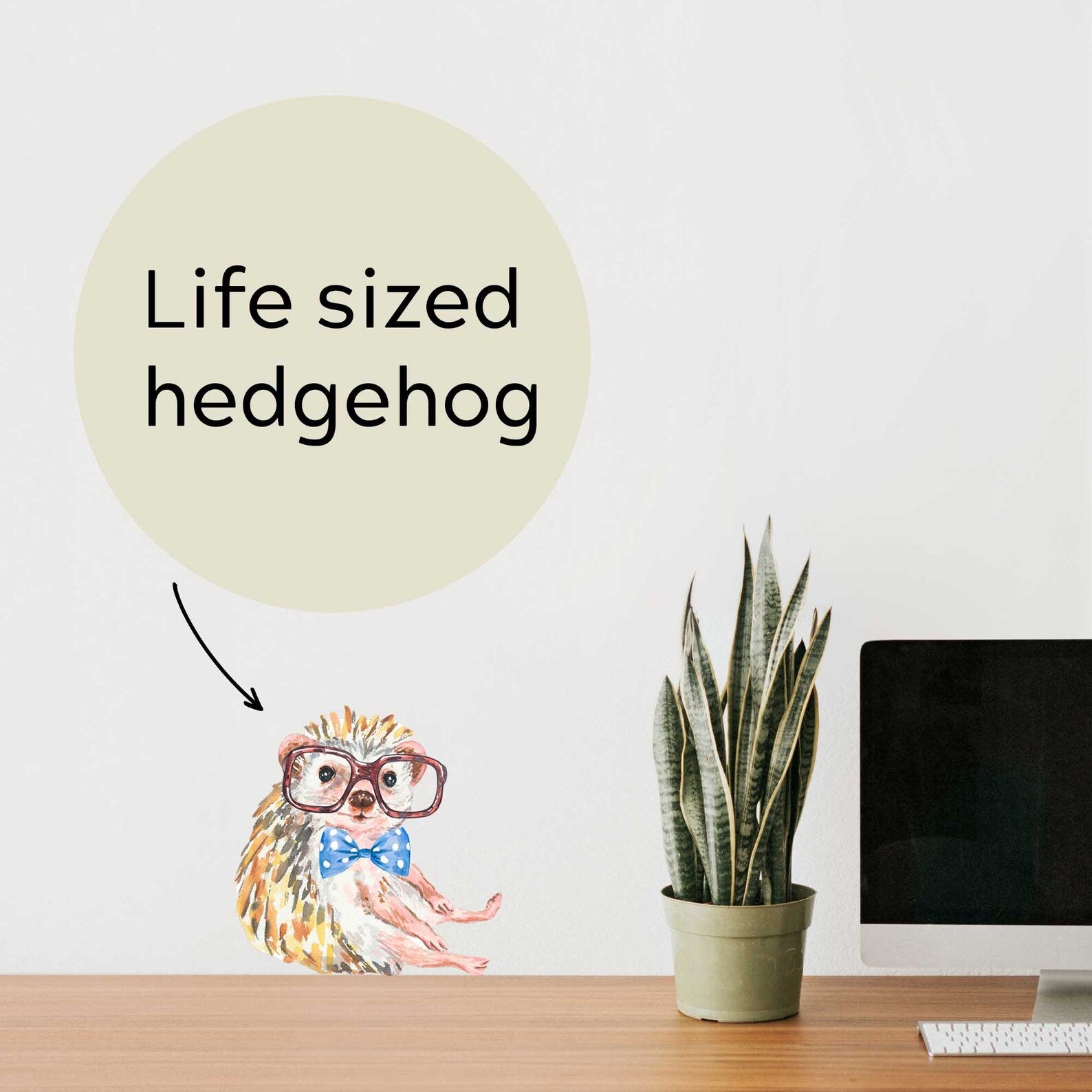 Die-cut wall decal featuring a watercolour painting of an adorable hedgehog. Comes with removable accessories