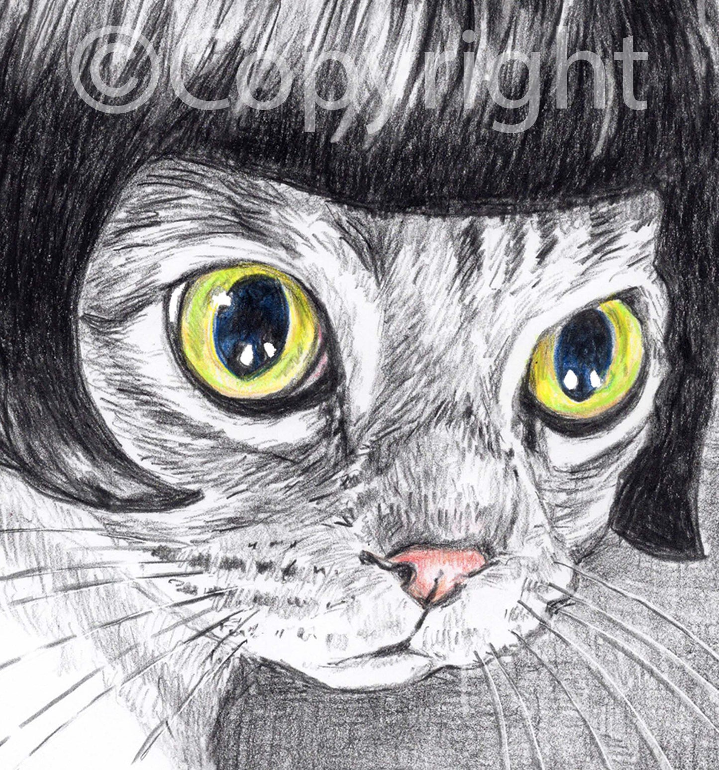 Black and white crayon drawing of a Siamese cat styled like a silent movie star. Art by Deidre Wicks