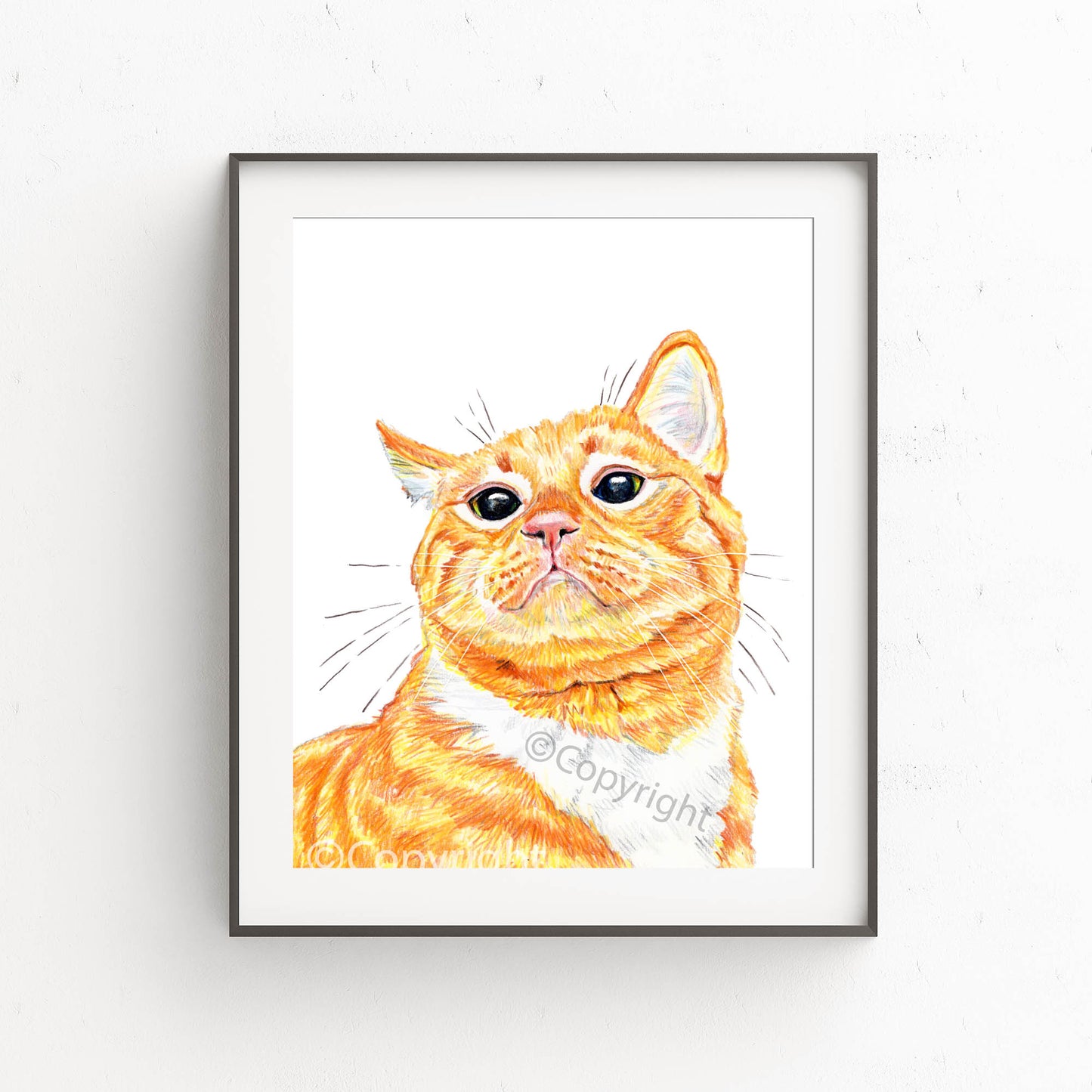 Orange Cat Print