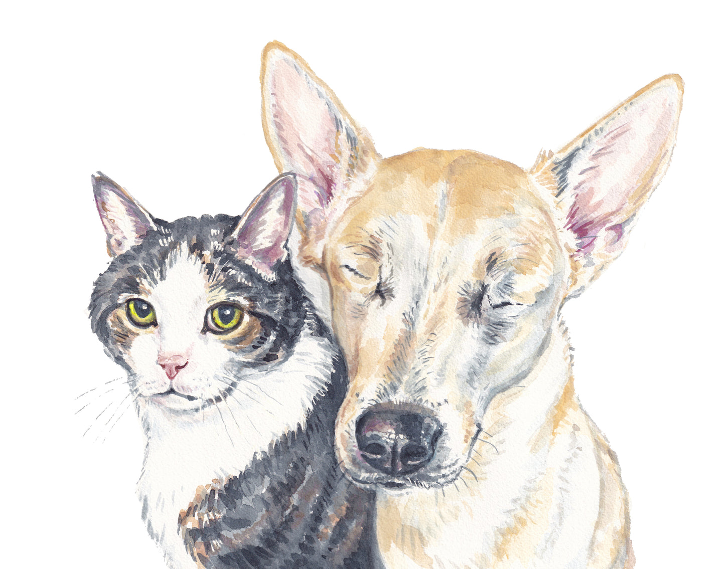 Illustration of a cat and a dog on a white background