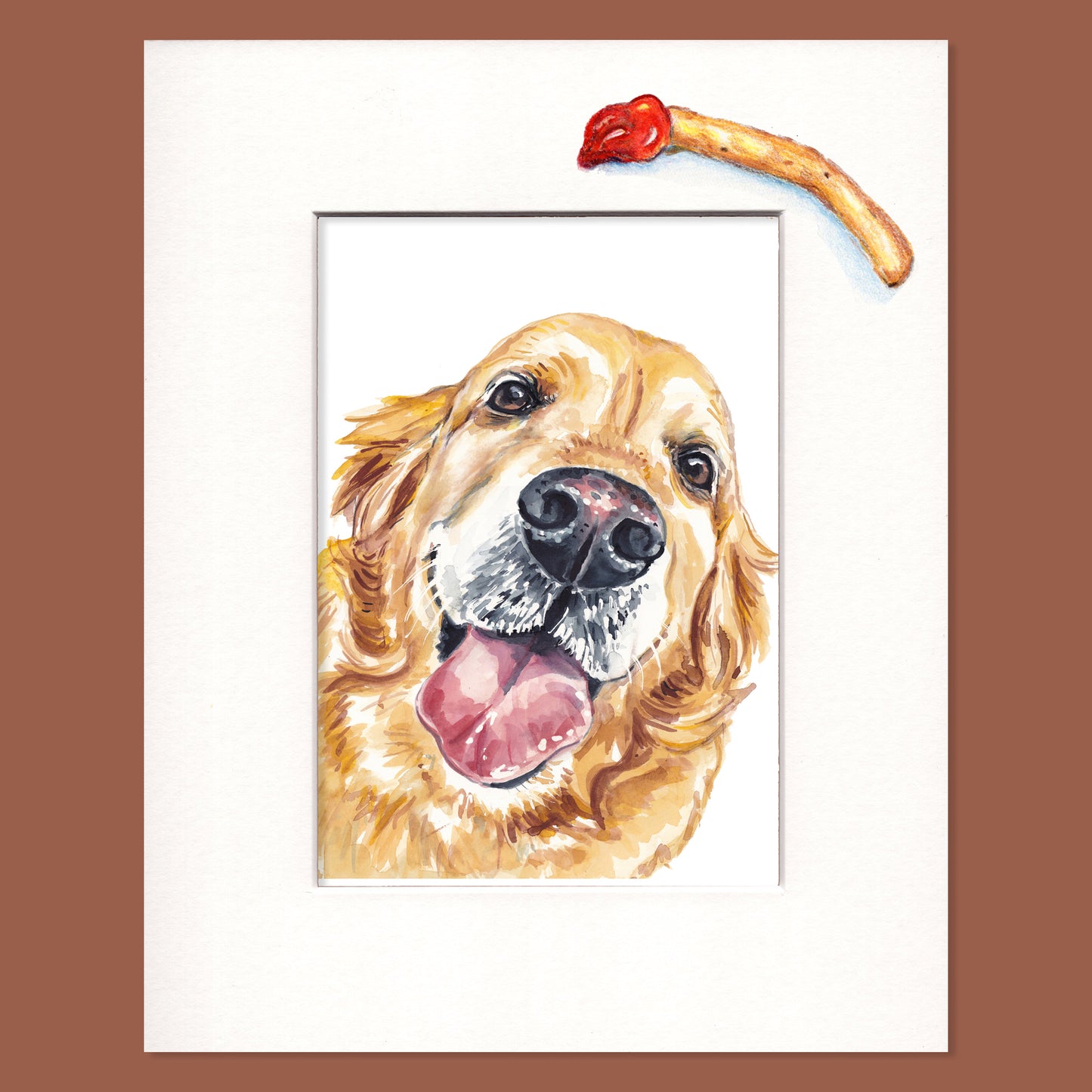 Pet Portraits