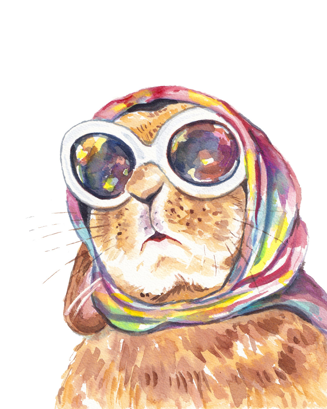 Pet Portraits