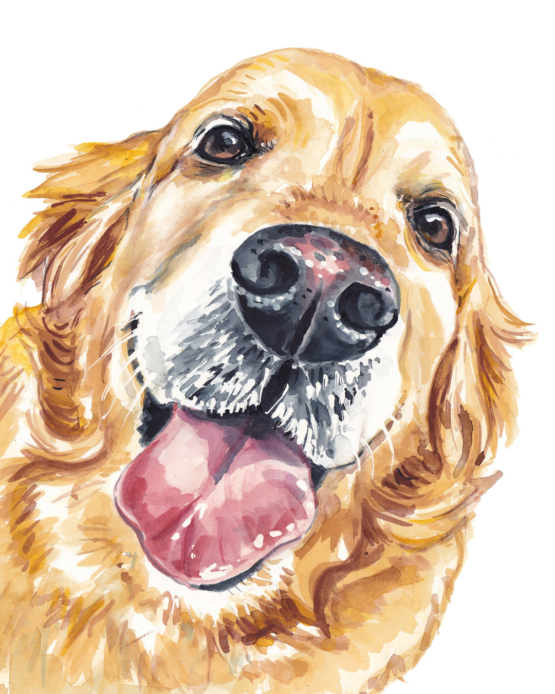 Pet Portraits