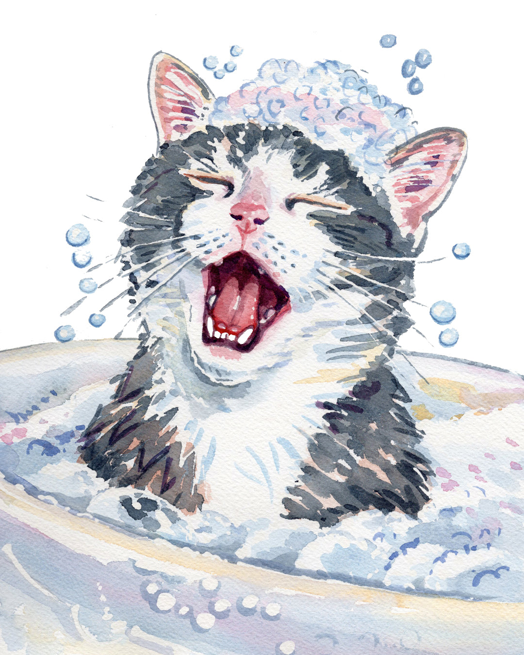 Pet Portraits